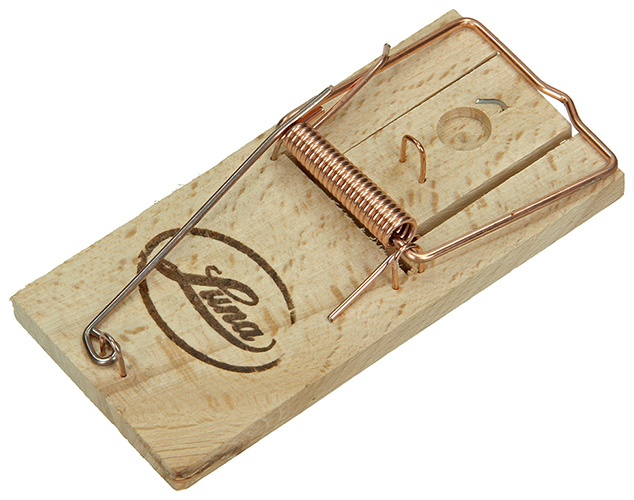 MUIZENVAL OP HOUTEN PLANK