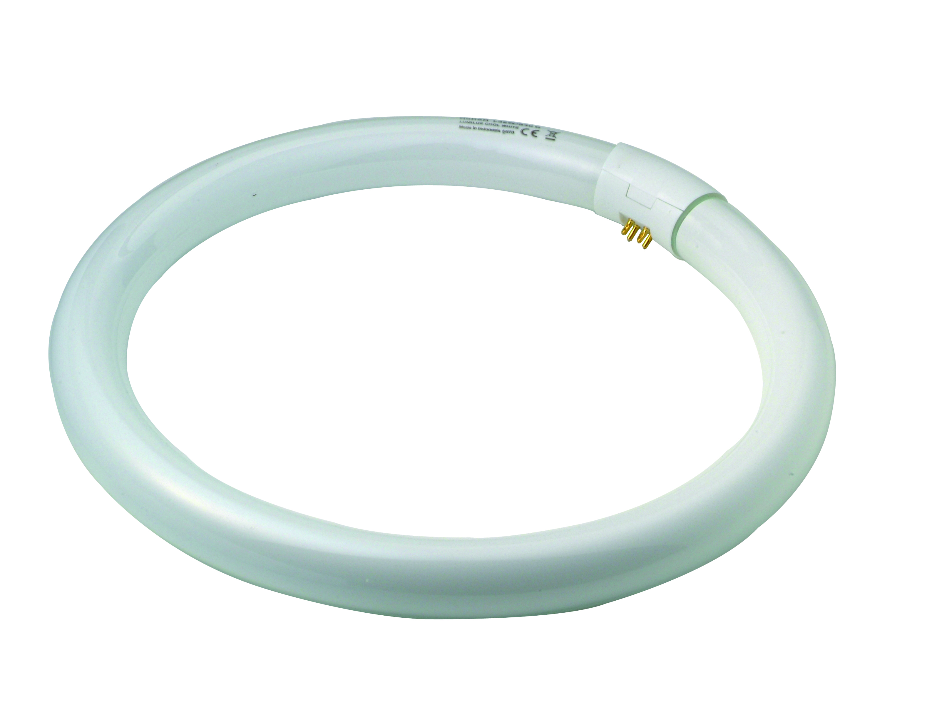 Lampe Fluo T8 Circulaire 32w 305mm Blanc Froid