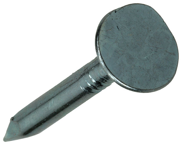 Schalienagels Verzinkt 3,0x30mm (250gr)