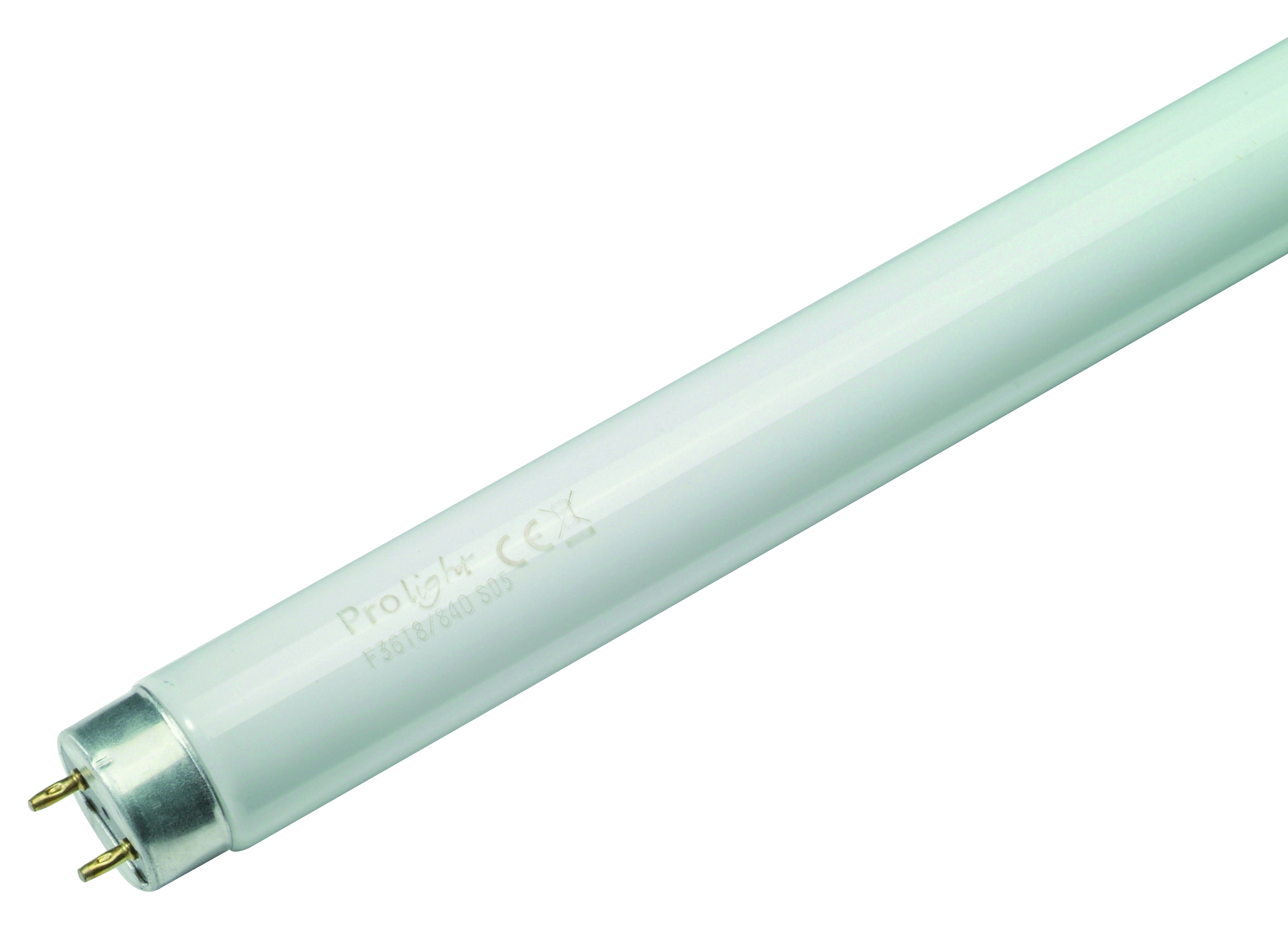 TL-LAMP T8 36W 1200MM KOUD WIT